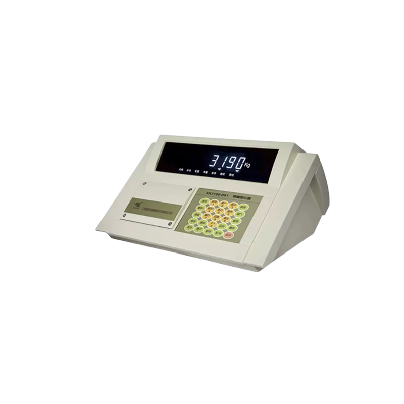 上海耀华XK3190-DS1 汽车衡数字仪表
